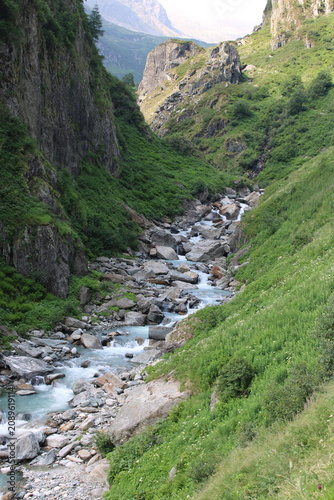 mountain stream 
