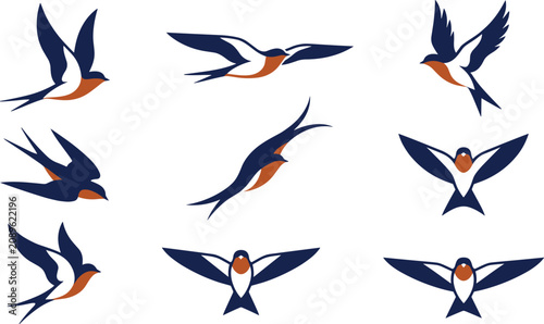 Collection of swallow bird in various flight poses, featuring blue, white, and orange color scheme on a white background