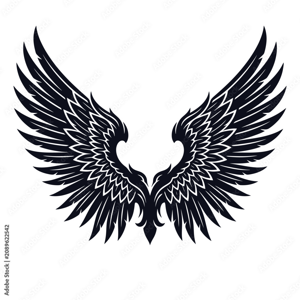 Fototapeta premium A pair of detailed black bird wings isolated on white background