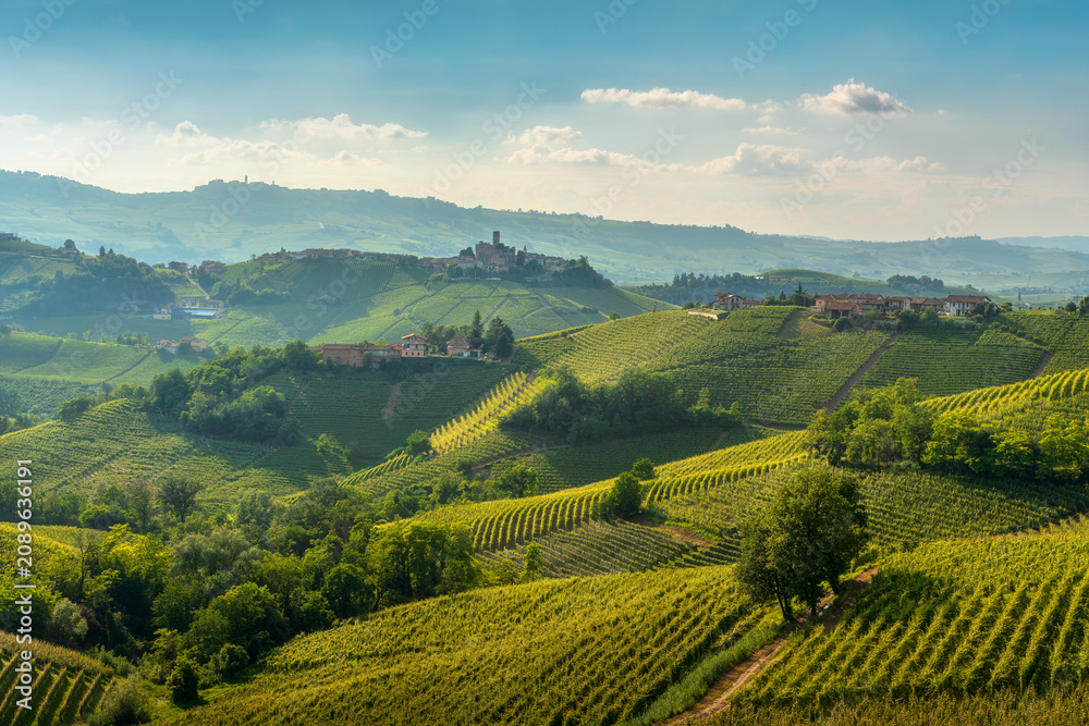 Obraz premium Langhe Vineyards and Castiglione Falletto Village, Piedmont