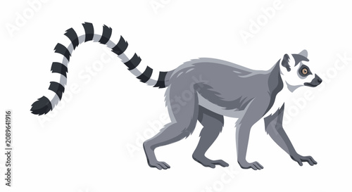 Photography Illustration of a black and white striped lemur walking on a plain background