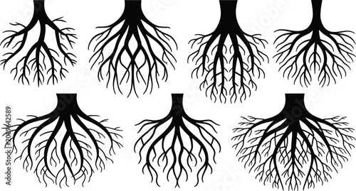 Tree root black silhouette vector icon set featuring detailed organic underground plant structures for nature designs
