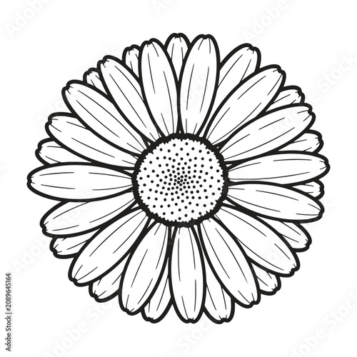 Simple black and white line of a single daisy flower with many thin petals and a dotted center on a white background
