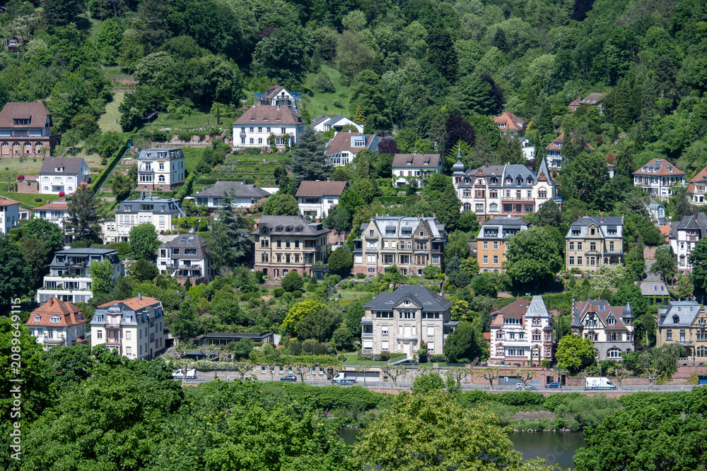 Fototapeta premium Hillside villas above the Neckar in Heidelberg