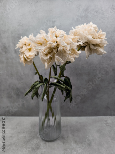 Фотография Withered peonies showing decay and impermanence in a vase