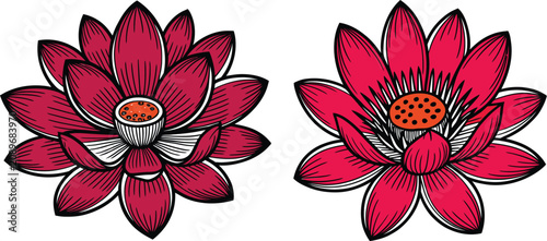 Fotografía Red lotus flowers vector set pink water lily blossoms isolated on white background oriental botanical line art clip art illustrations