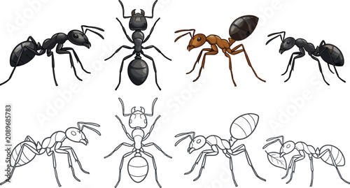 Photos Ant Insect Vector Set with Realistic Black and Brown Fire Ants in Profile Top Vi