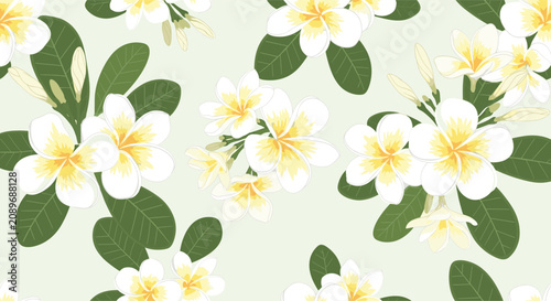 Seamless tropical floral pattern with clusters of white plumeria blossoms and green leaves on a light mint green background for fabrics.