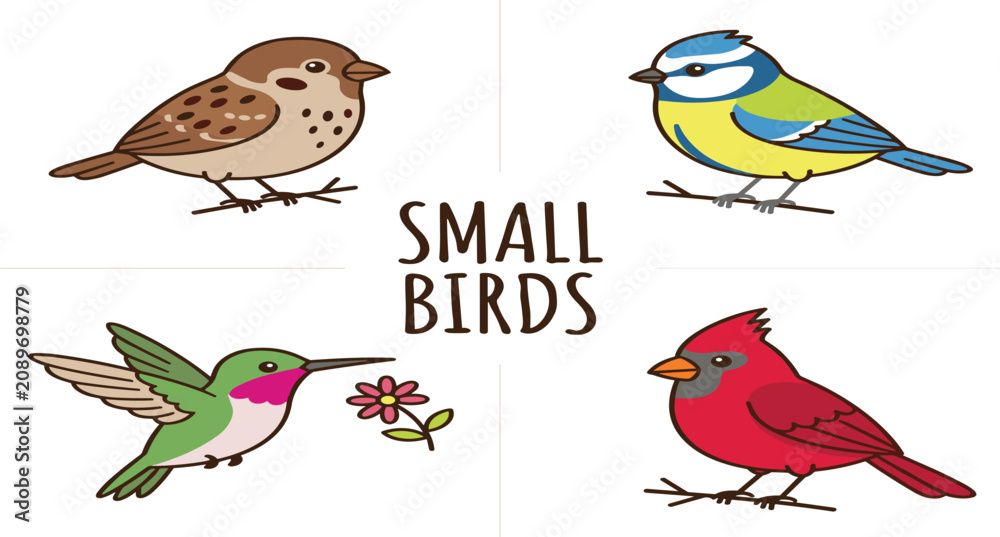 Obraz premium PrintCute cartoon small birds collection vector illustration featuring sparrow blue tit hummingbird and red cardinal isolated on white background