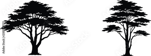 Foto Black silhouette of two trees against nature