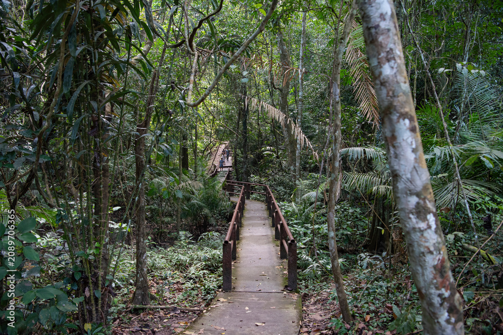 Obraz premium THAILAND NAKHON NAYOK KHAO YAI NATIONALPARK HAEW NAROK WATERFALL