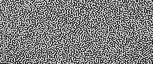 Foto Turing reaction diffusion monochrome seamless pattern with chaotic motion