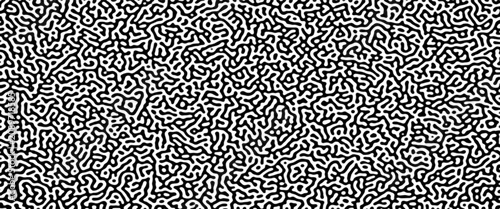 Fotografie Turing reaction diffusion monochrome seamless pattern with chaotic motion