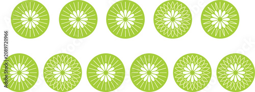 Tableau sur toile Set of bright green circular floral mandala icons and sunburst patterns, minimal