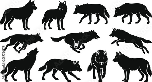 Bild auf Leinwand Wild Wolf Silhouette Collection Featuring Howling Running Hunting Poses