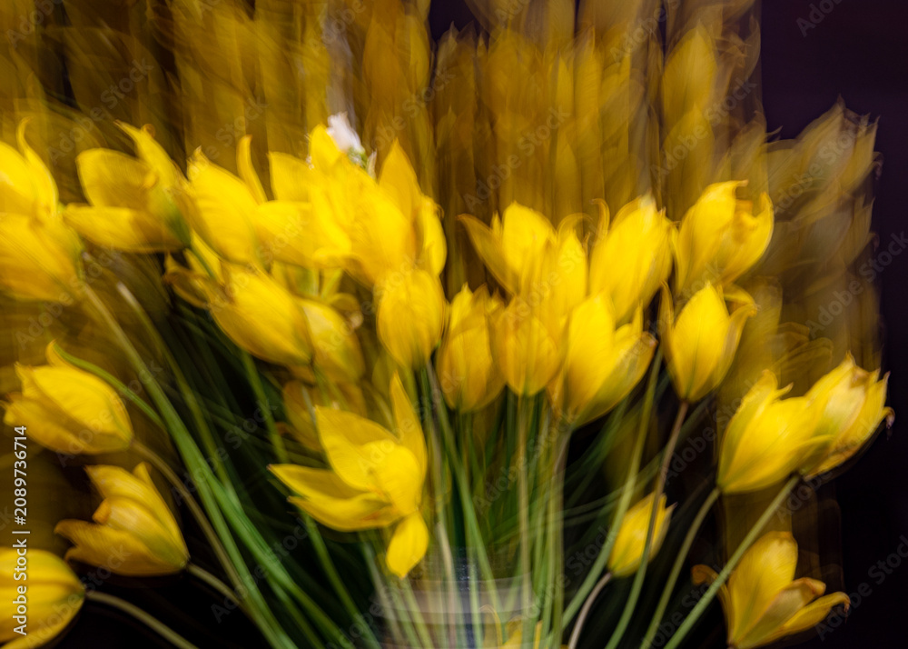 Obraz premium Artificially moved flower, blurred double lines, blurred flower texture, suitable for background