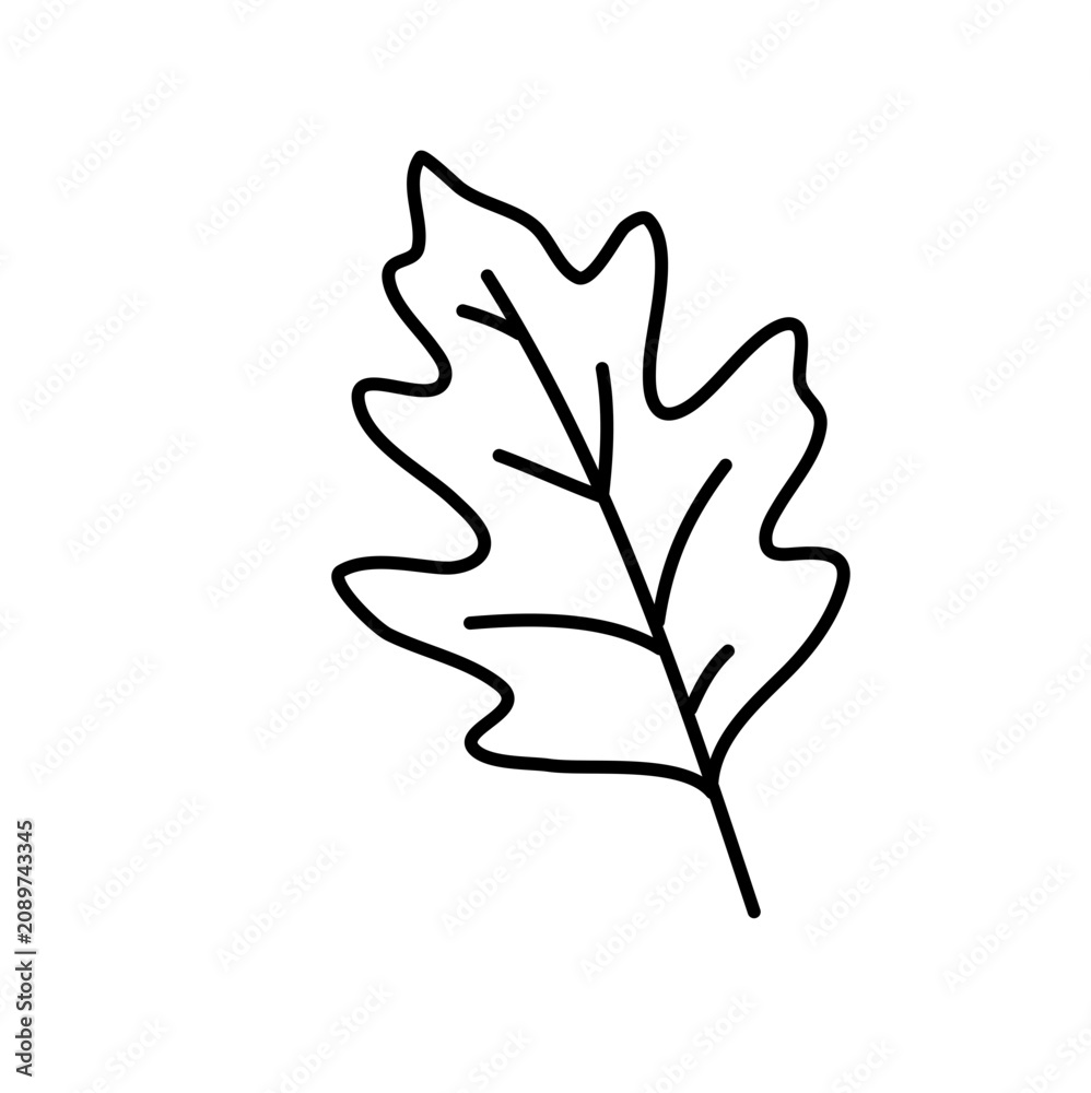 Fototapeta premium Hand drawn cute pin oak leaf icon doodle vector autumn forest line art
