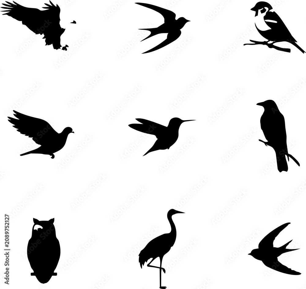 Fototapeta premium Collection of diverse avian silhouettes in flight and perched on branches against a bright expanse