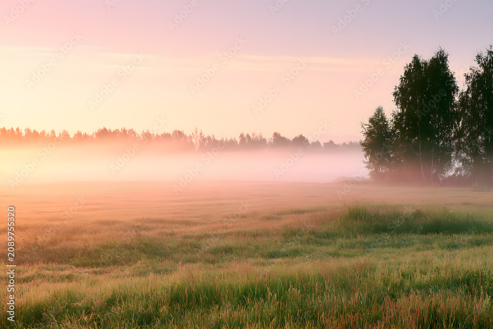 Obraz premium fuzzy morning in the countryside field at dawn. serene summer (spring) backdrop