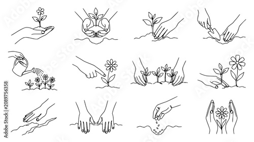 Photography Hands planting and nurturing seedlings and flowers, line art illustration