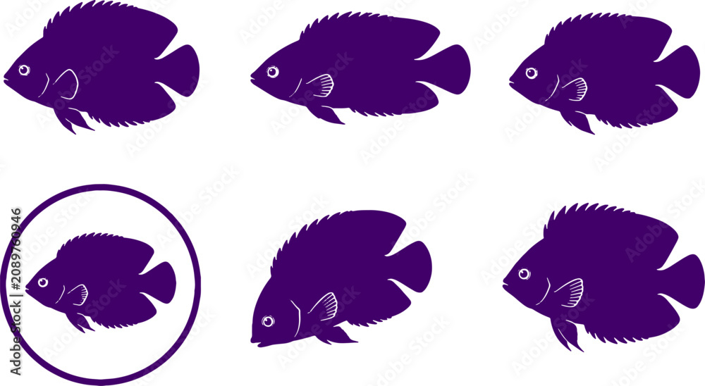 Fototapeta premium Flame Angelfish Silhouette Icon Set Black Vector Marine Fish Collection
