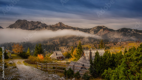Tableau sur toile Velika Planina plateau in Slovenia at sunset with fog