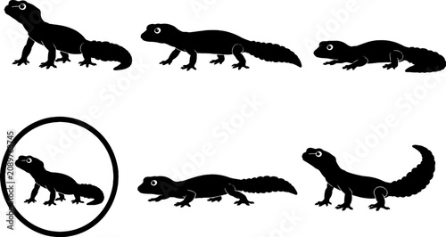 Billede på lærred Leopard Gecko Silhouette Icon Set Black Vector