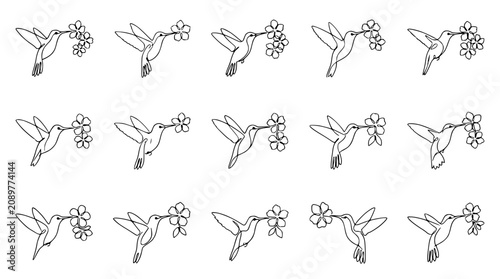 Tableau sur toile Hummingbird Collection: Delicate Line Art of Birds Feeding on Flowers