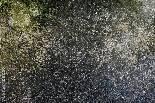 Gritty weathered concrete texture with organic lichen pattern