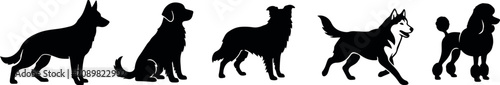 Foto Diverse dog breed silhouettes german shepherd golden retriever border collie hus