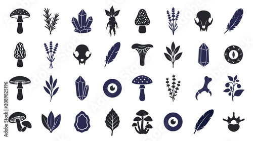 Obraz na plátně Mystical Elements: Mushrooms, Crystals, Skulls, Feathers, Plants Icons