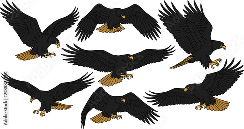 Tableau sur toile Eagle flying vector collection, majestic black hawk soaring illustration set, pr