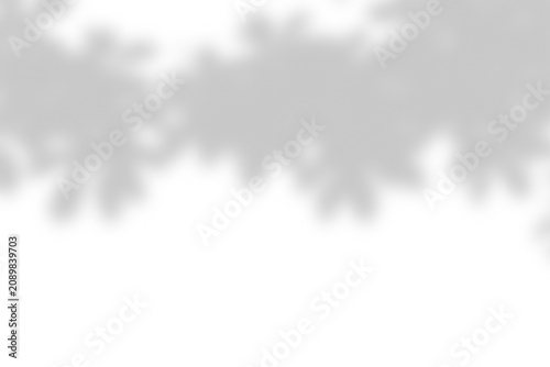 Soft Natural Tree Leaf Shadow Overlay Background For Creative Photography Projects Featuring Elegant Organic Foliage Light Patterns