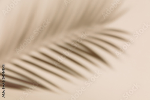 Natural shadow of a palm leaf falling on a minimalist beige background. Tropical vibe, aesthetic summer concept, serene atmosphere, summer holiday spirit.