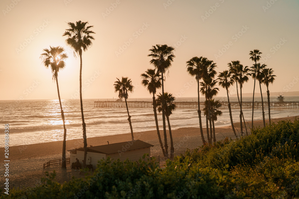 Obraz premium Palm trees and view of the pier at sunset in San Clemente, California