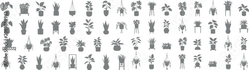 Obraz na plátně Collection of various potted houseplants and hanging plants