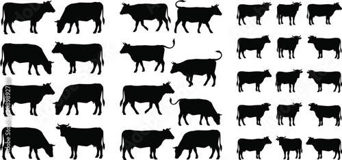 Fotografie Set of Black Cow Silhouettes in Various Poses for Farm, Livestock, and Agricultu