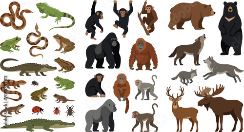 Photography Diverse Animal Illustrations Featuring Reptiles, Primates, and Mammals in Groupe