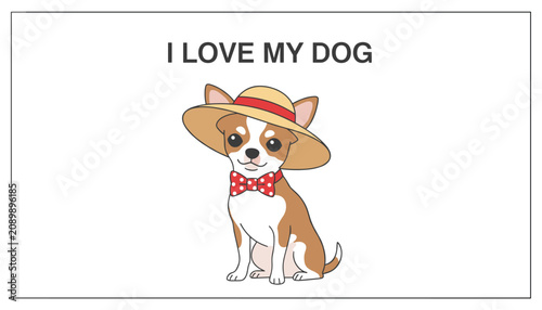 Cute brown and white chihuahua wearing a straw hat and a red polka dot bowtie sitting on a plain background.