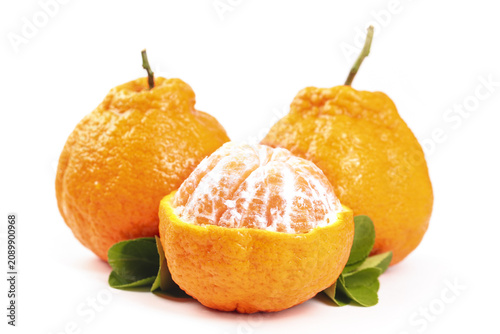 Fresh Sichuan Oranges Still Life - Cut Orange Revealing Juicy Segments Studio Photo