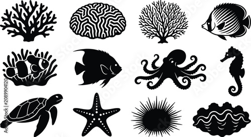 Photos Coral reef marine life and sea animals vector silhouette icon set featuring trop