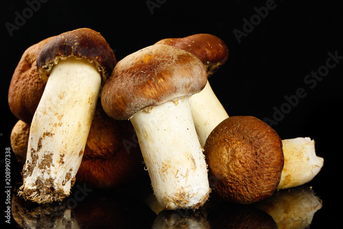 Foto Fresh Yunnan Agaricus Blazei Mushrooms Crop - Deliciously Vegan Ingredients