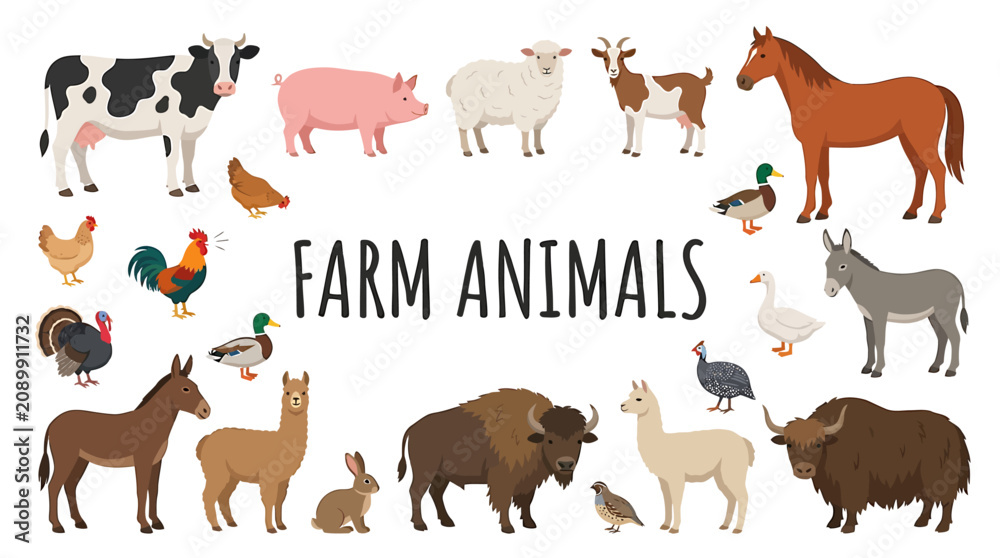 Fototapeta premium An educational vector illustration showcasing a diverse collection of domestic farm animals, including livestock and poultry, suitable for agriculture and children's learning
