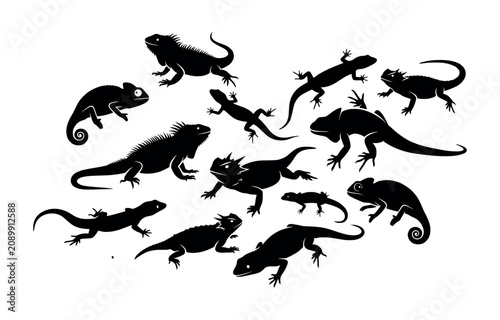 Set of silhouettes of different lizards vector illustration, reptiles isolated on transparent background.