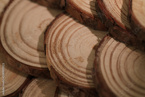 Aged Wood Cross-Sections with Growth Rings Studio Shot Natural Texture Background