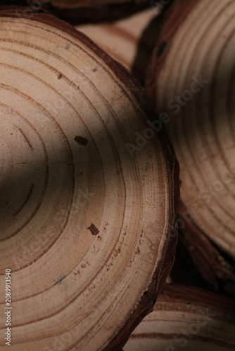 Natural Wood Grain Rings Cross Section Detail Studio Shot Tree Trunk Logs Texture Background