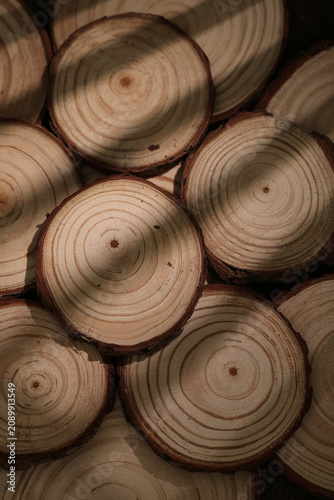Natural Wood Log Cross Sections Showing Tree Ring Grain Texture Pattern
