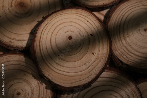 Natural Wood Cross-Section Tree Rings Close-Up Studio Shot Background Texture