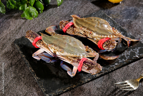 Fresh Zhoushan Crabs on Slate Board - Chinese Seafood Delicacies Studio Shot