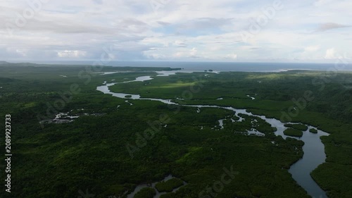 Rivers flowing through lush mangrove forest leading to the open sea on the horizon. Siargao, Philippines.